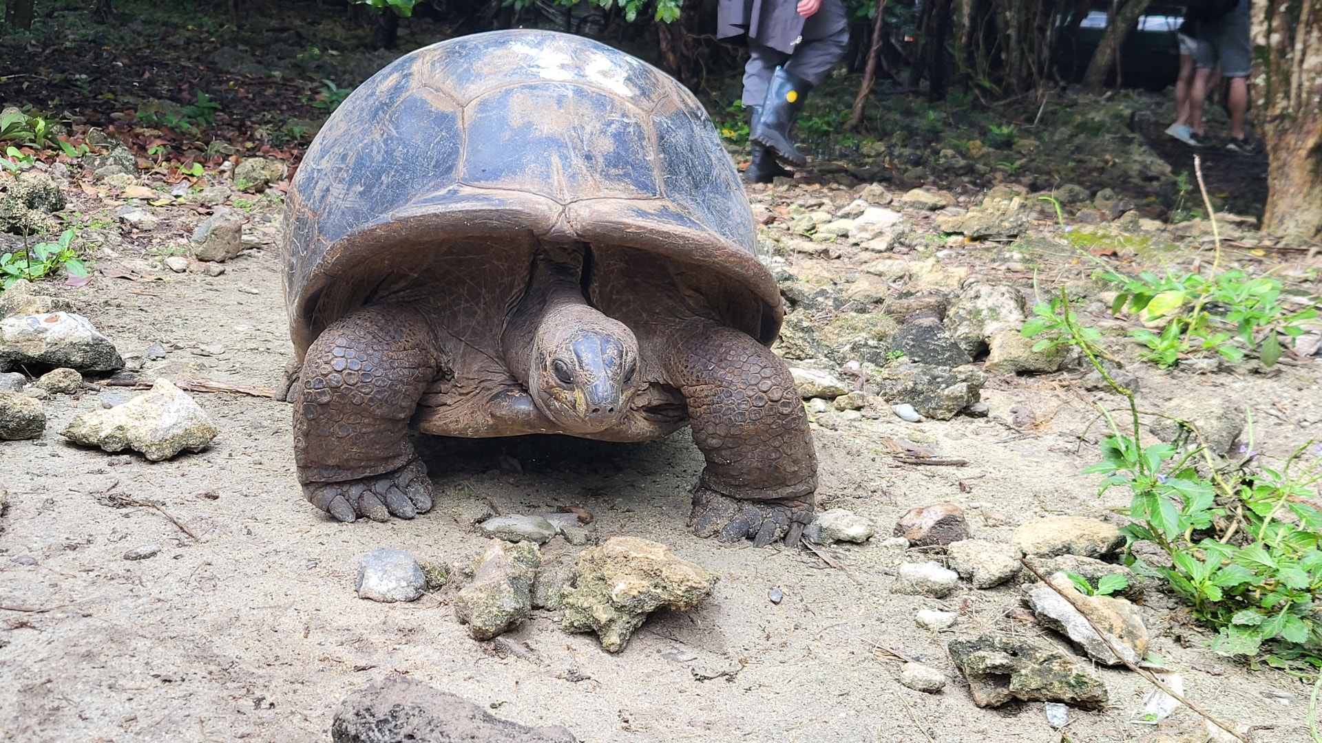 Wander- und Aktivurlaub auf Mauritius